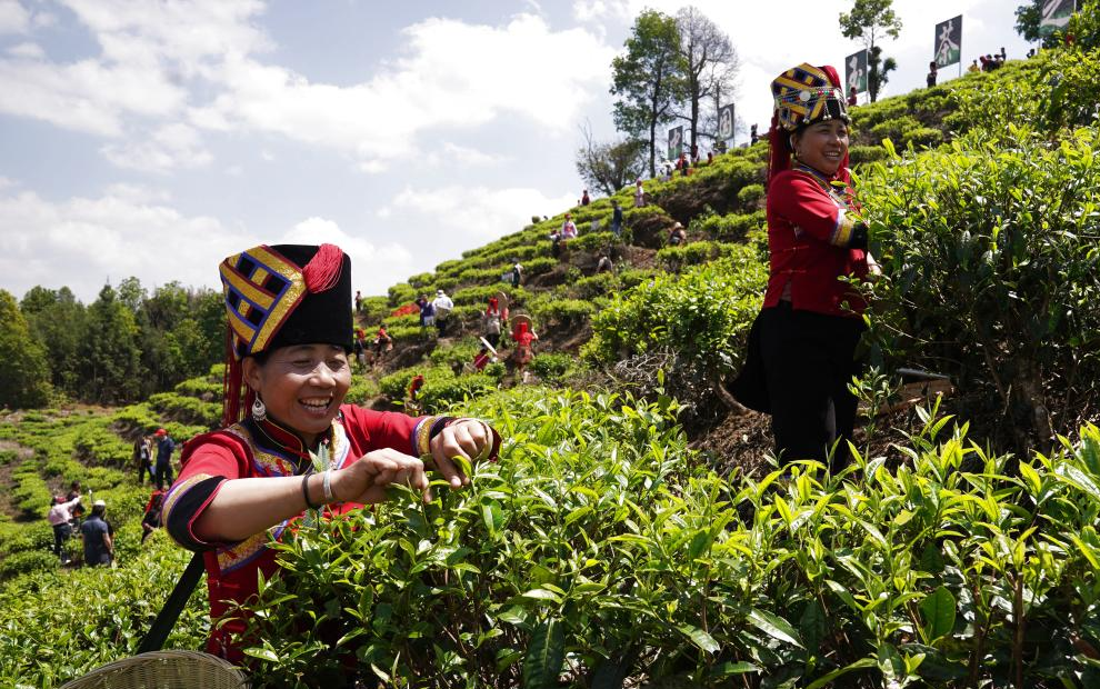 浙江在线-浙江省委省政府新闻门户网站